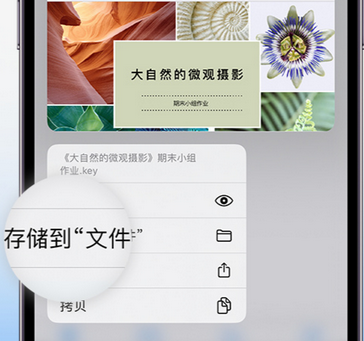 八宿apple维修中心分享iPhone文件应用中存储和找到下载文件