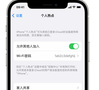 八宿apple服务站点分享iPhone上个人热点丢失了怎么办 