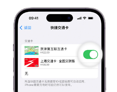 八宿apple维修点分享iPhone上更换Apple Pay快捷交通卡手绘卡面 