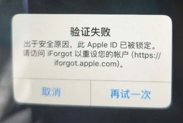 八宿iPhone维修分享iPhone上正常登录或使用AppleID怎么办 