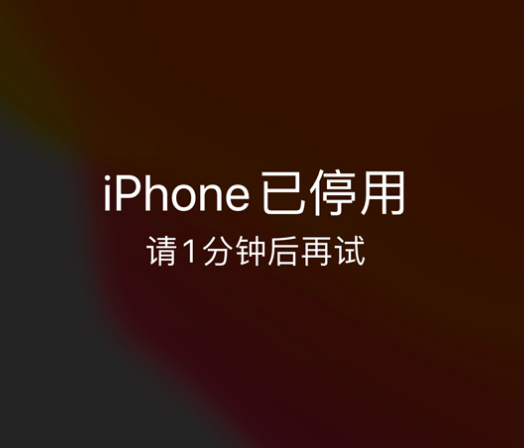 八宿苹果手机维修分享:iPhone 显示“不可用”或“已停用”怎么办？还能保留数据吗？ 