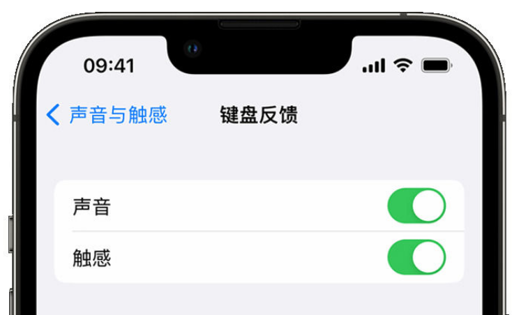 八宿苹果手机维修分享iPhone 14触感键盘使用方法 