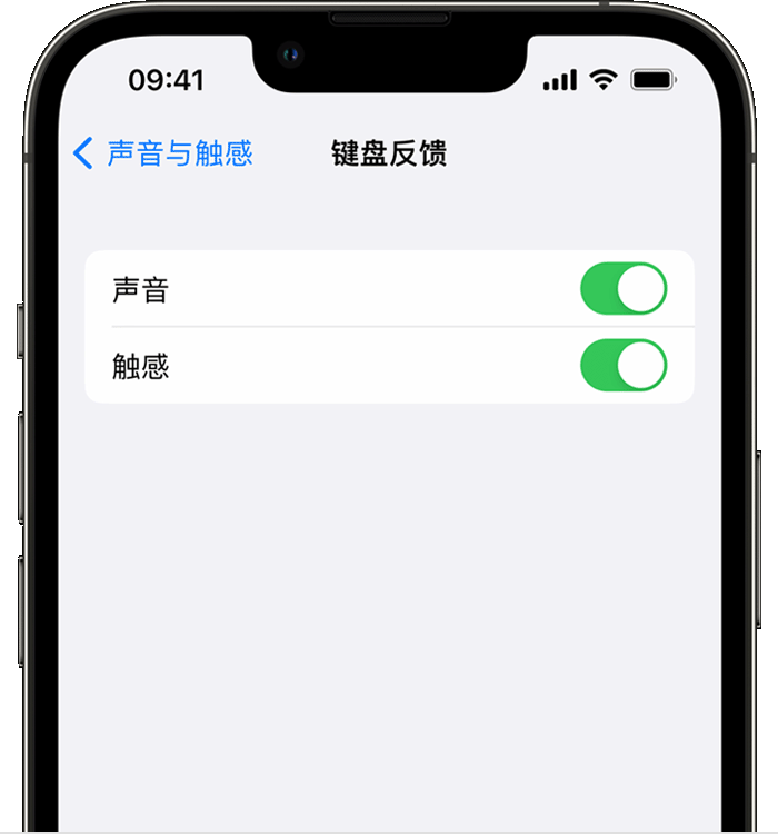 八宿苹果14维修店分享如何在 iPhone 14 机型中使用触感键盘 