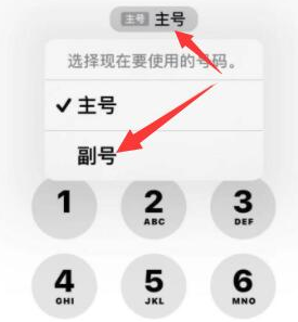 八宿苹果14维修店分享iPhone 14 Pro Max使用副卡打电话的方法 