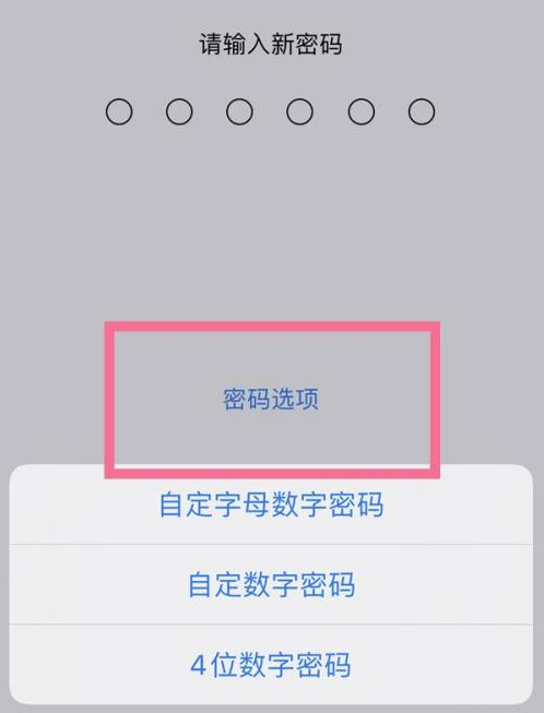 八宿苹果14维修分享iPhone 14plus设置密码的方法 