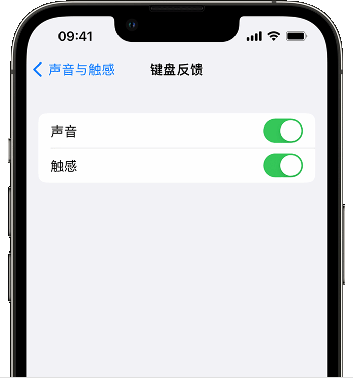 八宿苹果14维修分享iPhone 14 系列机型如何开启键盘声音或触感反馈 