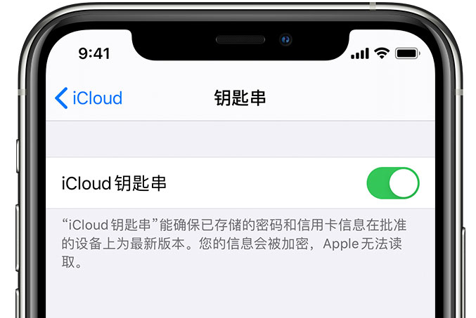 八宿苹果手机维修分享在 iPhone 上开启 iCloud 钥匙串之后会储存哪些信息 