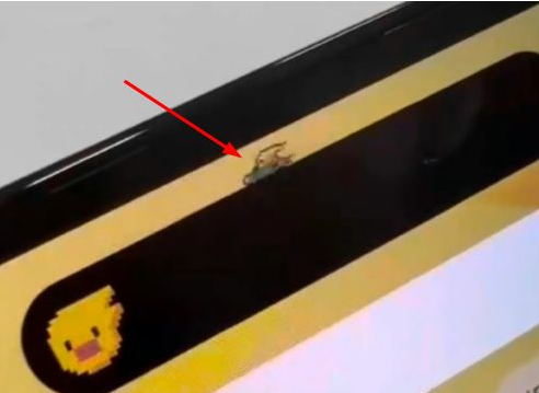 八宿苹果14维修分享iPhone 14 Pro Max灵动岛怎么养宠物 