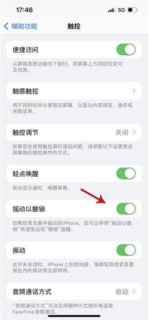 八宿苹果手机维修分享iPhone手机如何设置摇一摇删除文字 