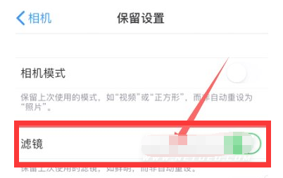 八宿苹果13维修分享iPhone13拍照有绿点是怎么回事 