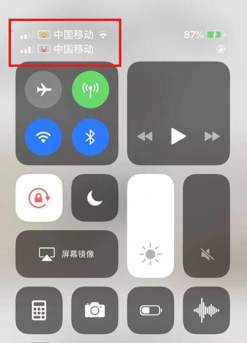 八宿苹果手机维修分享为 iPhone 12 双卡设置标签 